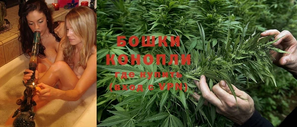 хмурый Бородино